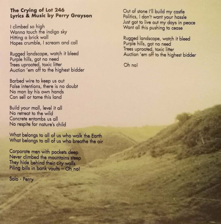 The Crying Of Lot 246