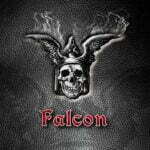 falcon-falcon-front