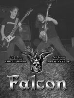 falconbiosheet Falcon | Cirith Ungol Online