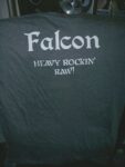 falconshirt2-back-113x150 Official Falcon TS/LS  