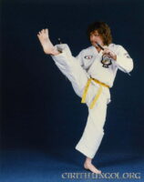 martialarts3 Martial Arts | Cirith Ungol Online